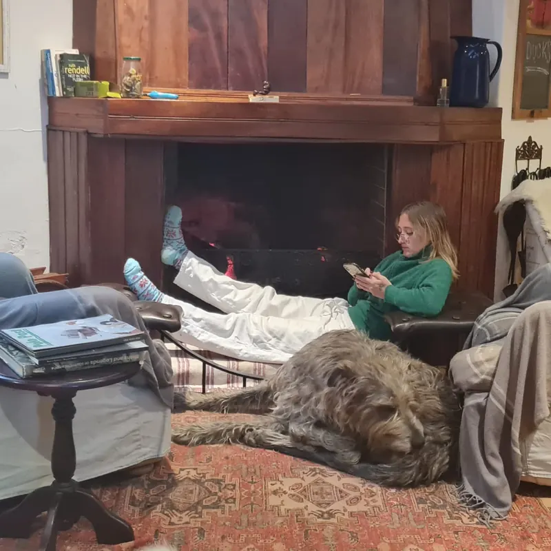 Irish Wolfhound asleep on a rug while a woman relaxes beside a fireplace